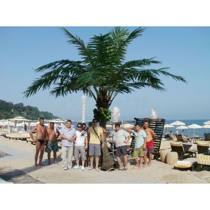 Artificial Coco Tree