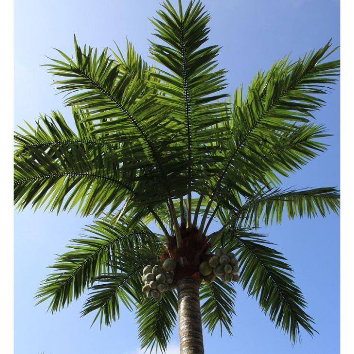 Artificial Coco Tree