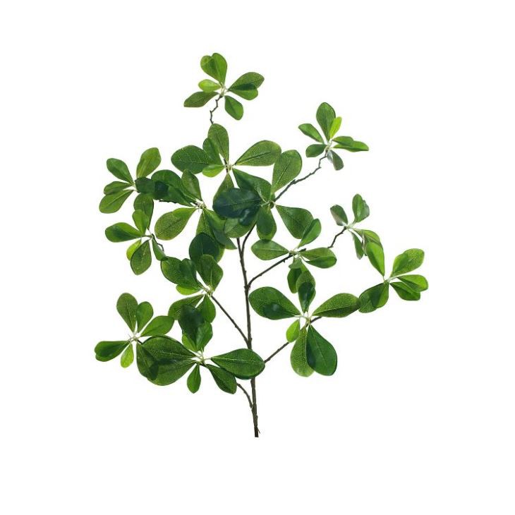 Faux Black Olive Tree