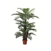עץ הדקל Areca מלאכותי
