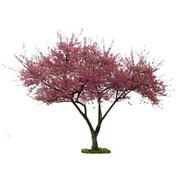 פרחים מלאכותיים עץ פריחת אפרסק