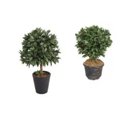 לורל מלאכותיים