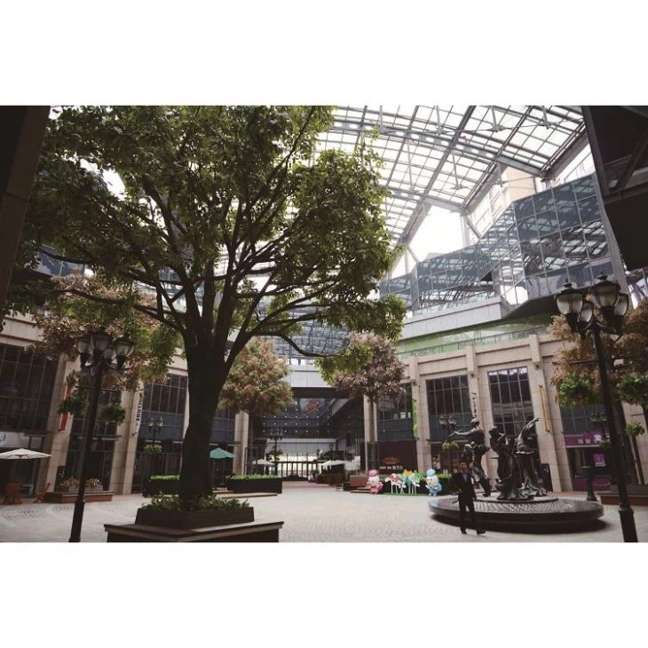 עץ פיקוס מלאכותית הטובה ביותר